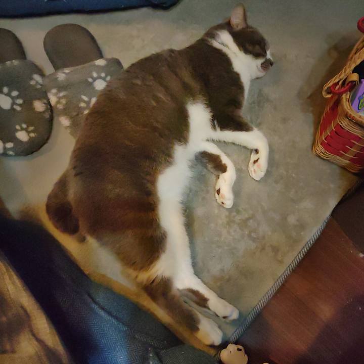 E2b0c472 bd41 40d2 ba25 557c37cba58a 1681138466795