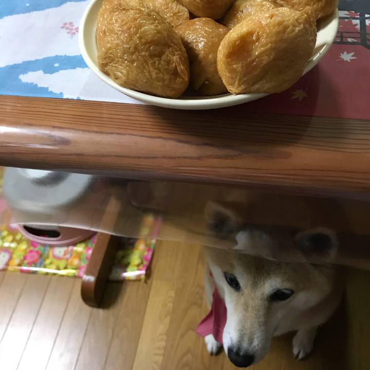 E2b0cc43 b52b 44f7 9443 a6b212fc2271 1531376711965