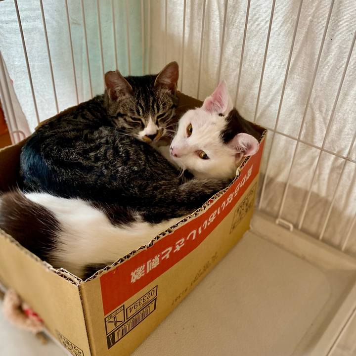 E2b106dd f48c 43e6 adbf 11b0c1c5af05 1706759742792