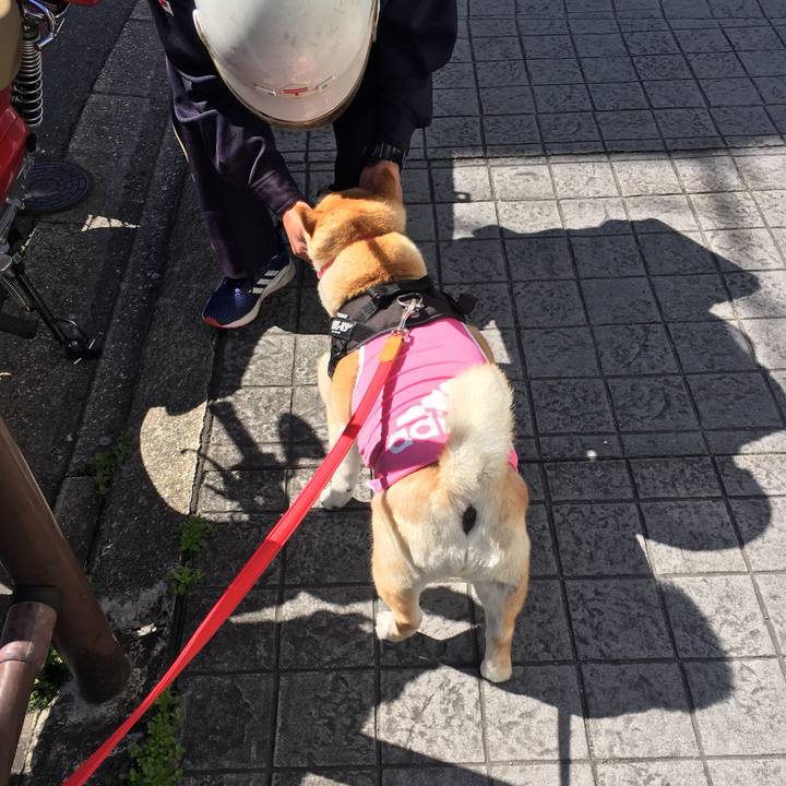 E2b14957 8bb3 483d a51a 22c0cbf83b77 1583897501463