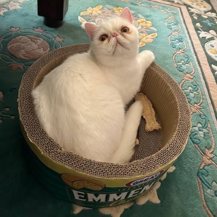 E2b1554e 0c0d 4fdc 93a8 9d19455fa1d2 1690723642589