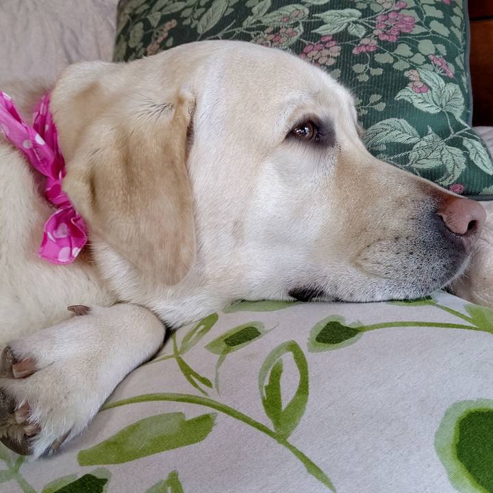 E2b15ea0 e4d1 47fb 8851 2eff068a0db6 1586752861960