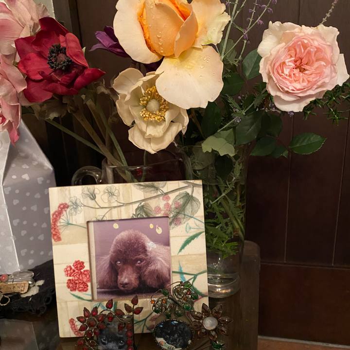 E2b1838c 3005 48d2 91c8 f5c8f6c8d963 1699598780126