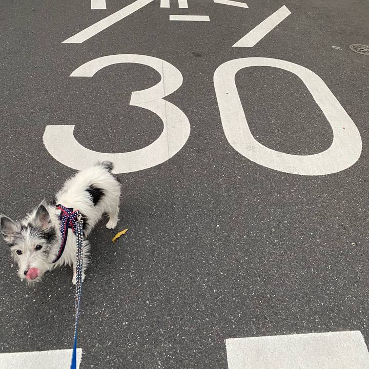 E2b19af3 44c7 490a 9a17 7729fed74c0d 1606729072165