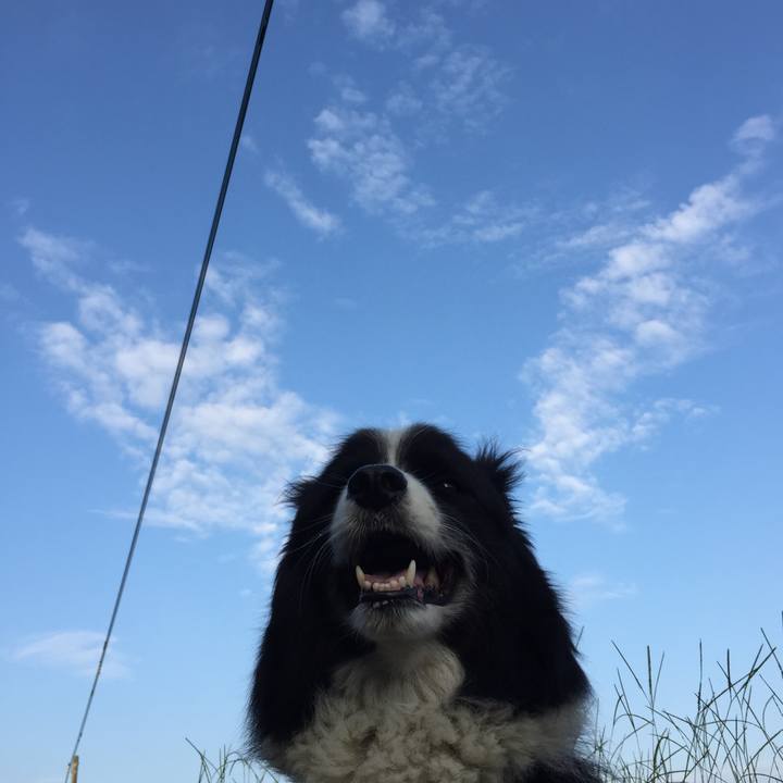 E2b19bd9 9cbb 4218 9702 792a08f5dde2 1568329691150