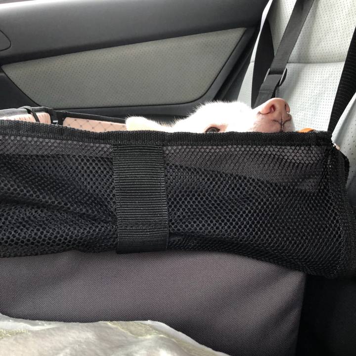 E2b1ac6b 5f86 4348 b9fd cd4c831ba531 1534211468123