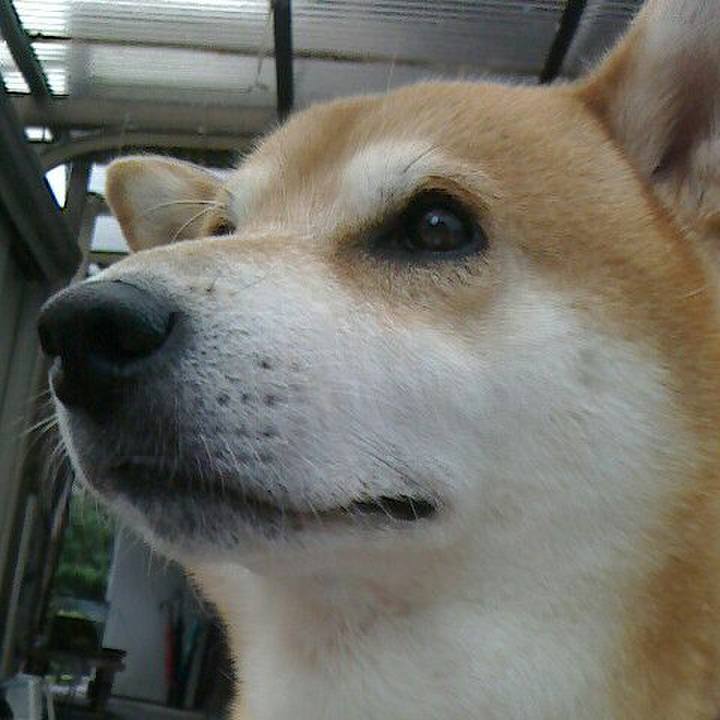 E2b1b477 f64a 4943 8cf4 c2db65cabda9 1569201484250