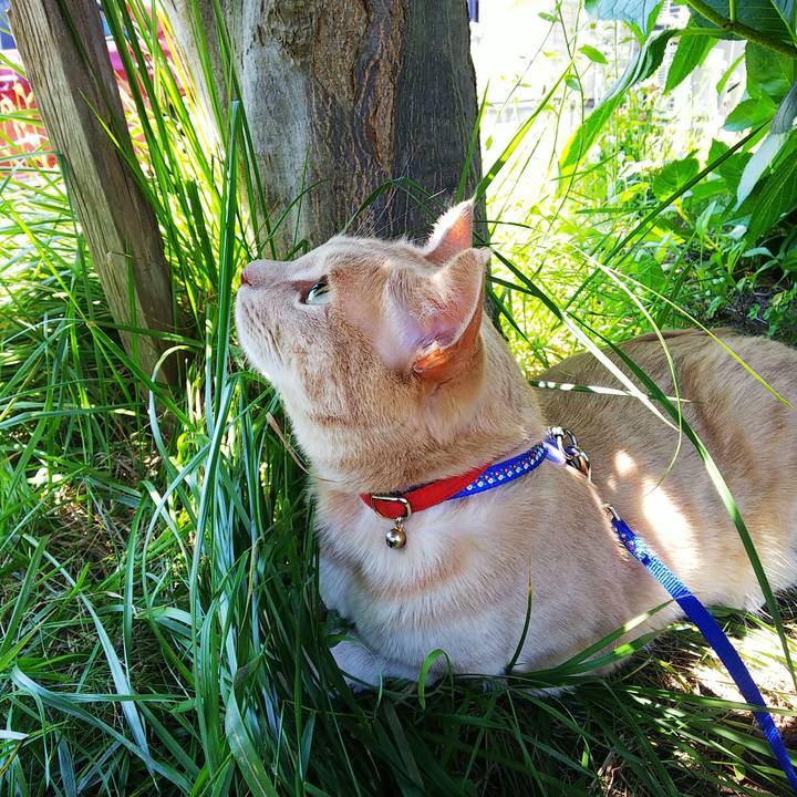 E2b1bd76 bec8 4c2f 9bc2 354a67846b84 1595046199717