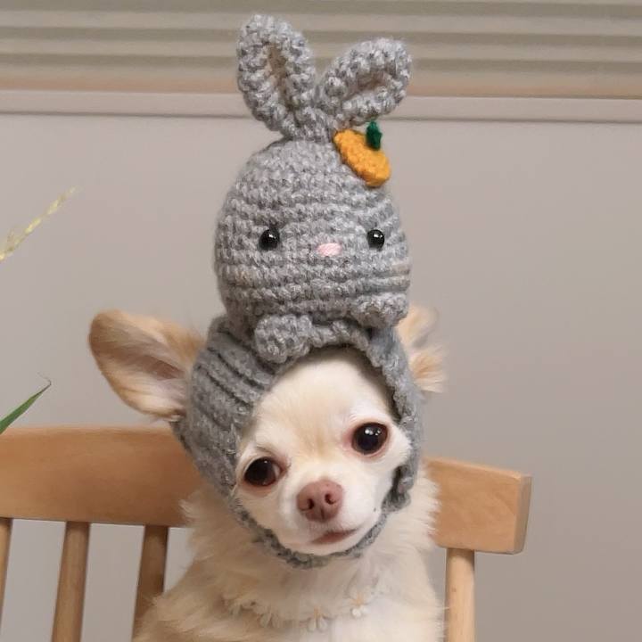 E2b1be0c 8be2 42ad ac30 04dfcf2e9aab 1726574344477