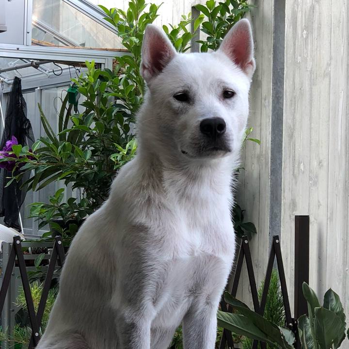 E2b264fd b0c1 49a7 8537 ab6a084ff752 1535498551840