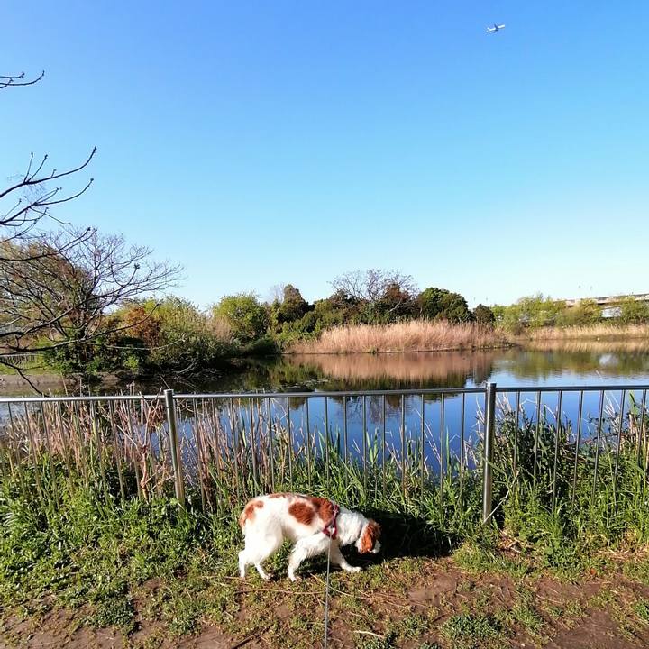 E2b299ea 2187 4435 9071 c42ac8b7de2c 1618012299486