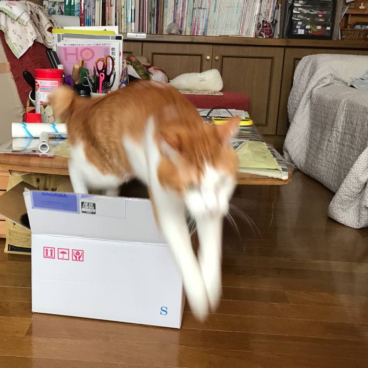 E2b2c100 0817 41ea a56b 27ef1ae9cfec 1580511510298