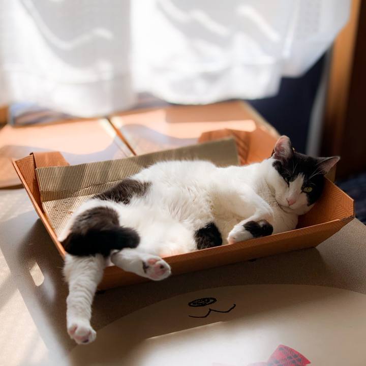 E2b2e499 6f3c 43b6 81ce 171d7d958bbe 1592099871027