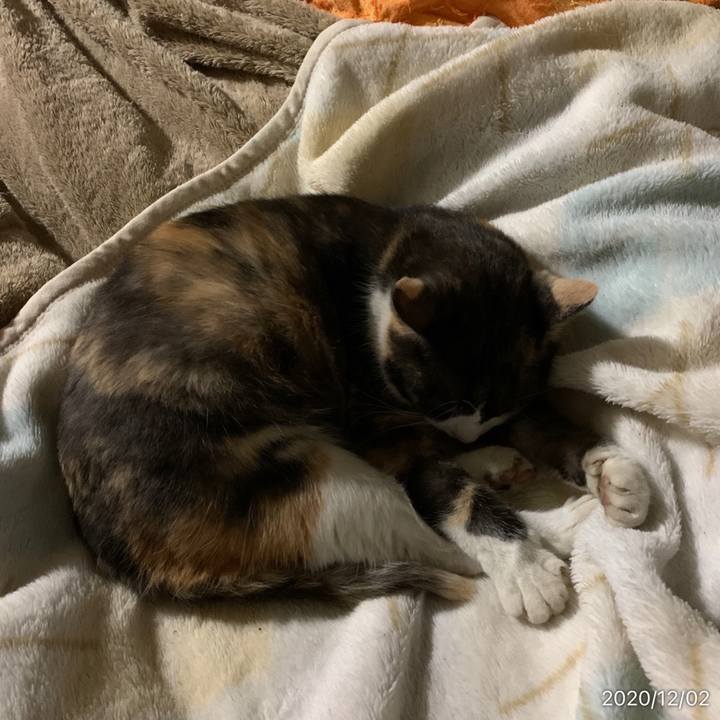 E2b308c2 b8b7 44df 8c50 9487fdeecf1f 1606859724944