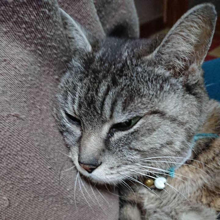 E2b349a2 86bf 4d76 9e6a fb0e96709565 1554066444979