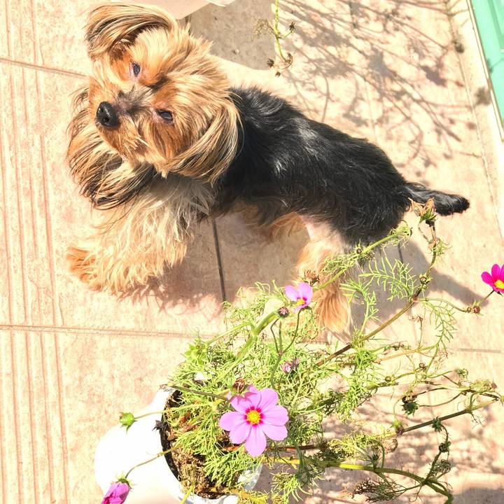 E2b3a483 4fd8 46e4 985f 0b99bb08356f 1509952412236