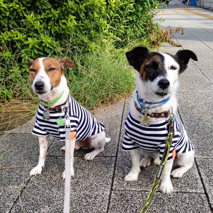 E2b3a712 974f 46db bd16 2cb1c9a63f88 1662428737541