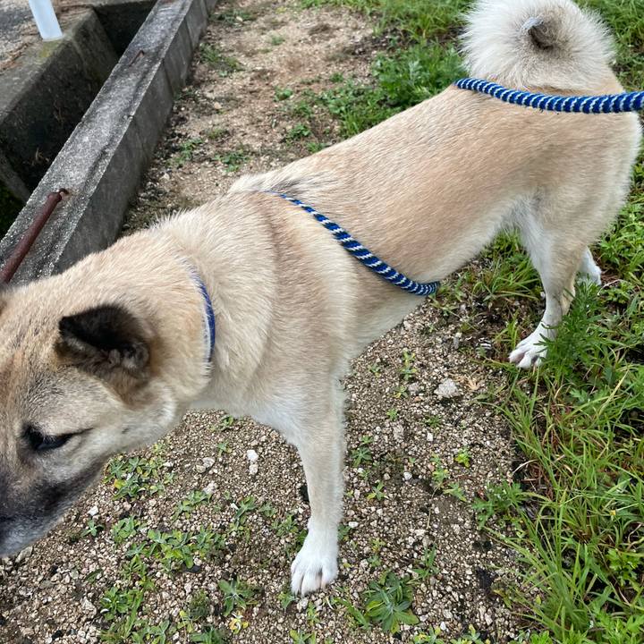 E2b3b64e 8086 4dd1 be1b 8b707013986a 1660738407029