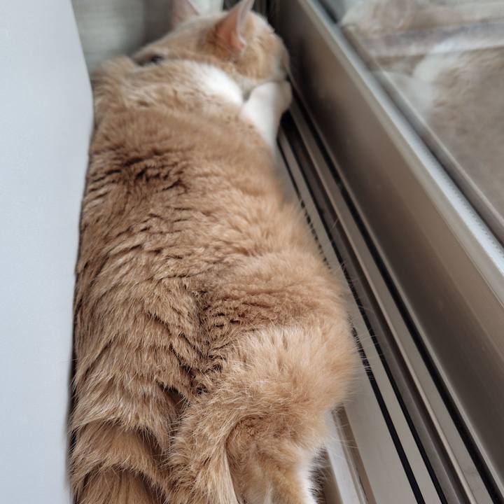 E2b3cfa0 a360 4c47 88df 62c99a18cbb2 1751667427253