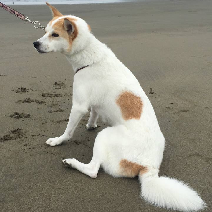 E2b3d53e 7bab 466b abf0 d7cb5b6081b4 1560012920316