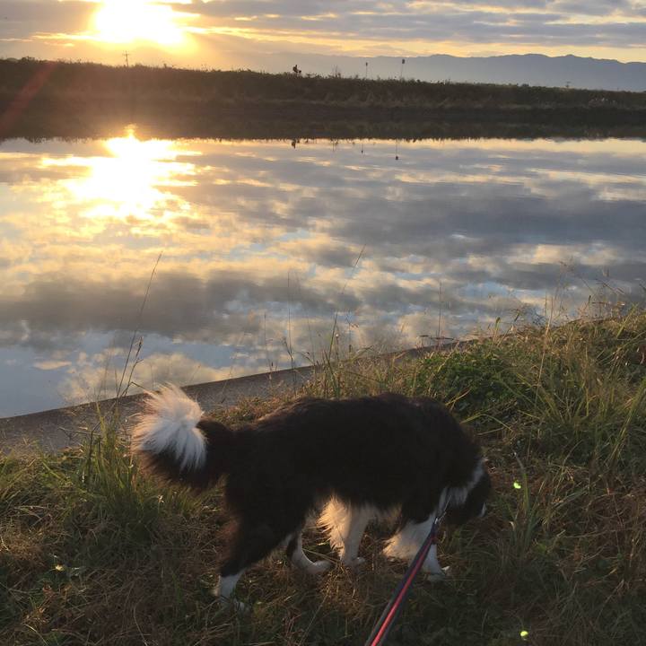 E2b3e4ac 7bbc 4ac0 867d 747152af5870 1574223640478