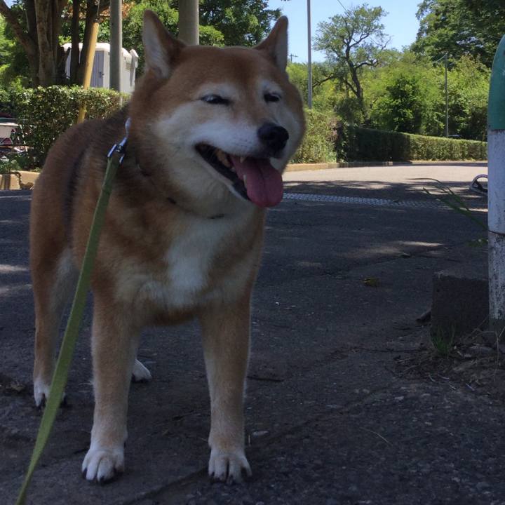 E2b3f82f 199d 4dd0 b7b3 1016ea71a36f 1591793380703