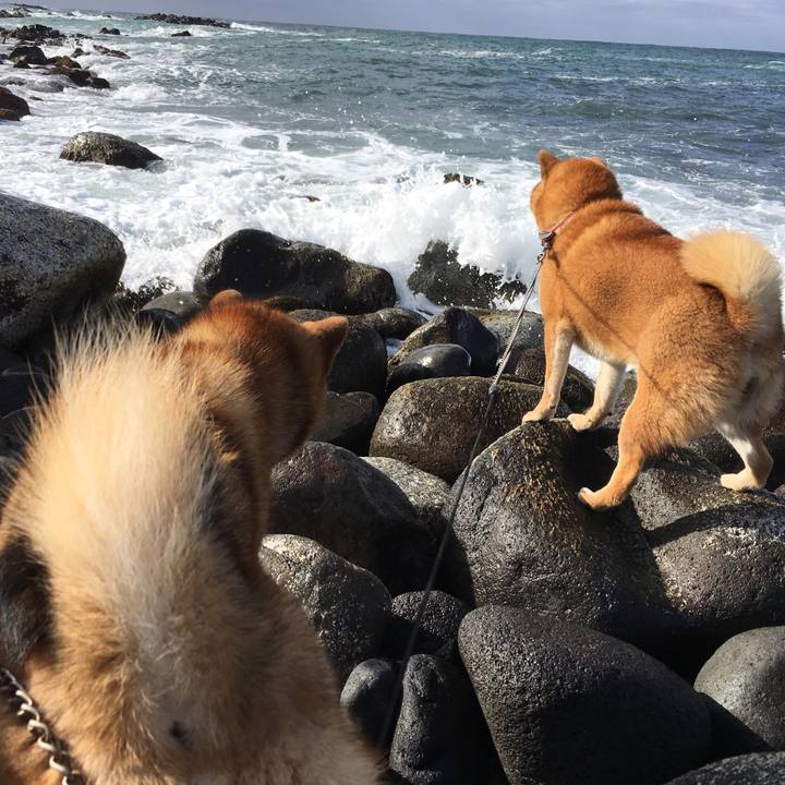 E2b4154d a046 4c85 9f12 2ce5c7afbf3e 1520674630166