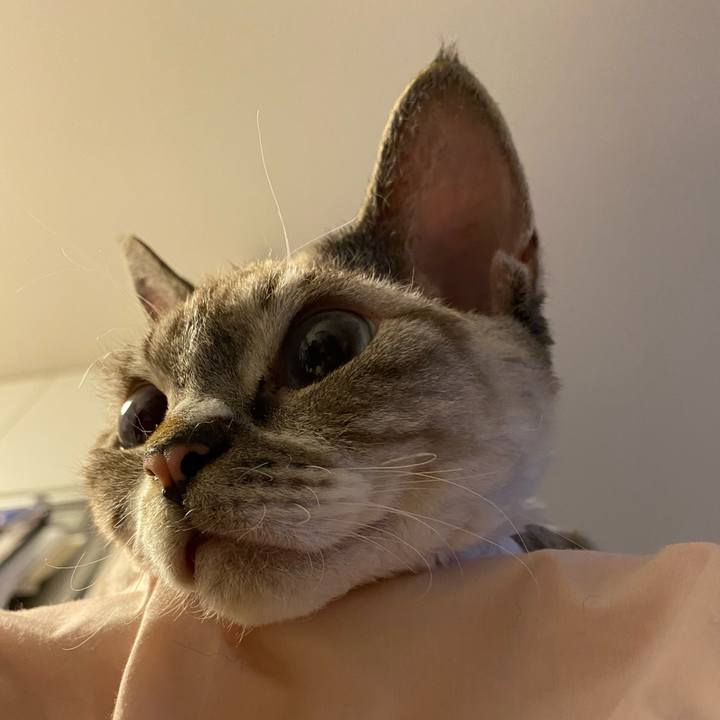 E2b466c7 d49f 4115 97d9 8c35312c5844 1602304840756