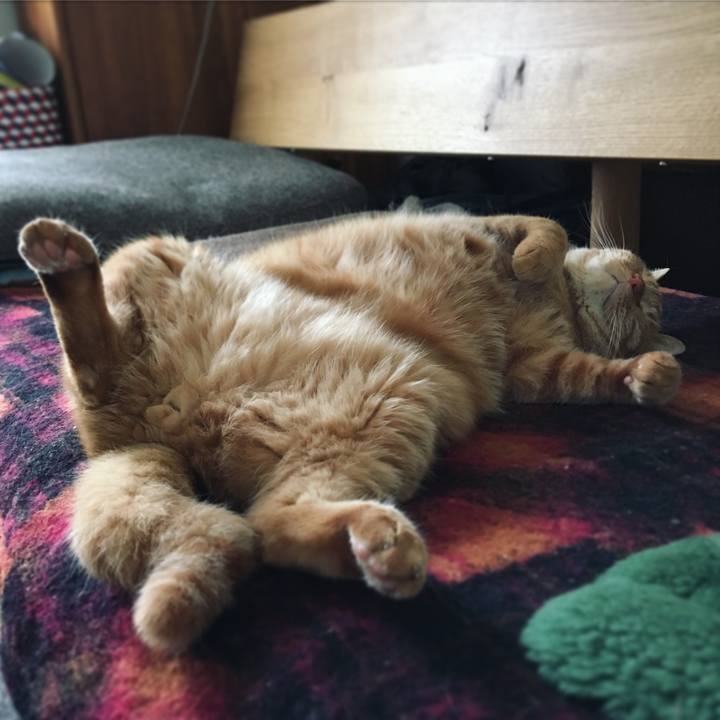 E2b4a73d 7560 4679 a3a4 7a0cee7b8632 1556146687970