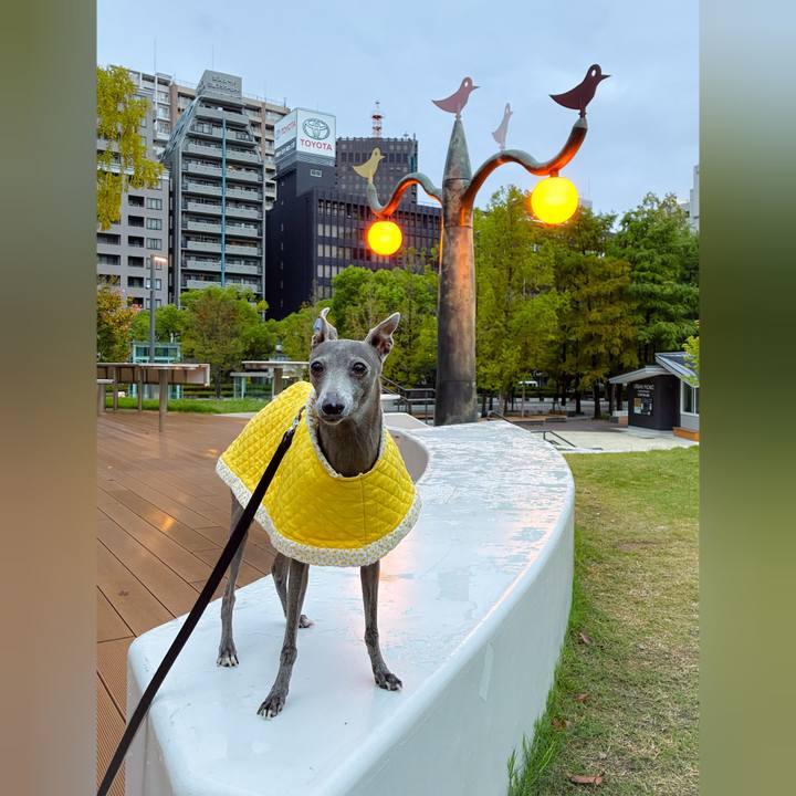 E2b4def3 6c88 41aa 8800 b783746ffd70 1763194063185