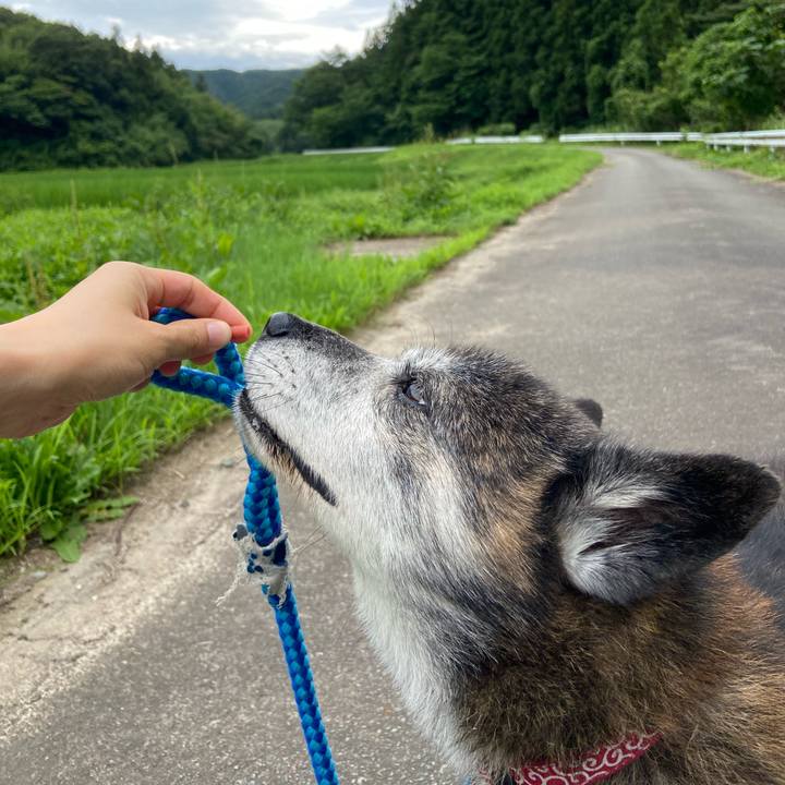 E2b4f87f 83e0 488c b5b8 ff9e7b90060e 1722168920818