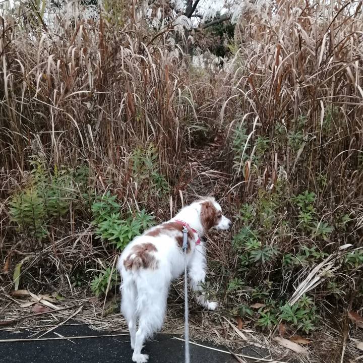 E2b4fe4f d79f 47b0 a28a 582031b98e3d 1576669575478