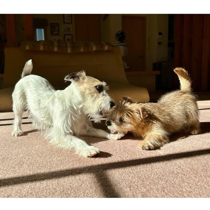 E2b52c0f e631 4f39 9a3c b38887c88340 1703774387616