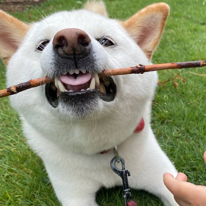 E2b53afa 659a 45b6 bdc1 2269e7898d13 1657700314372