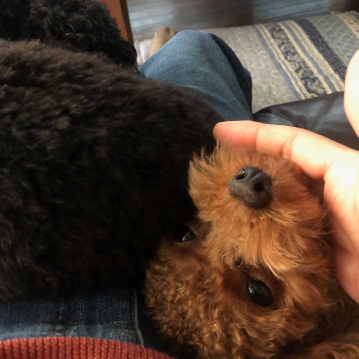 E2b545d7 1a5a 48eb 9374 f2f7aa298426 1509687156075