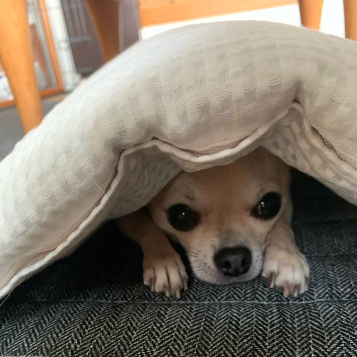 E2b5a3e6 d513 4f41 9438 11534a8dcd9d 1608336707969