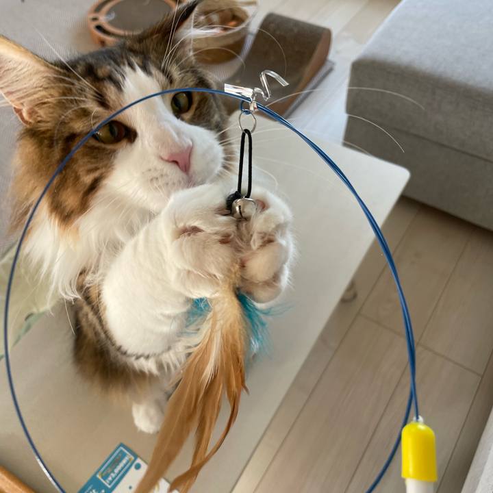 E2b5ce57 bf01 40a2 819c a3b6f19ede75 1651621804695