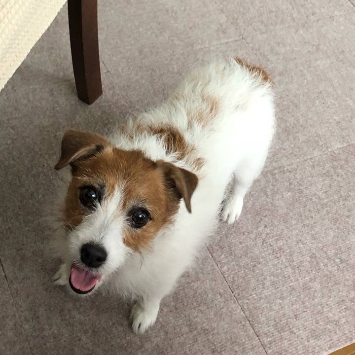 E2b5d9ab 839e 4907 a06e b8fde0ea4b65 1620116793740