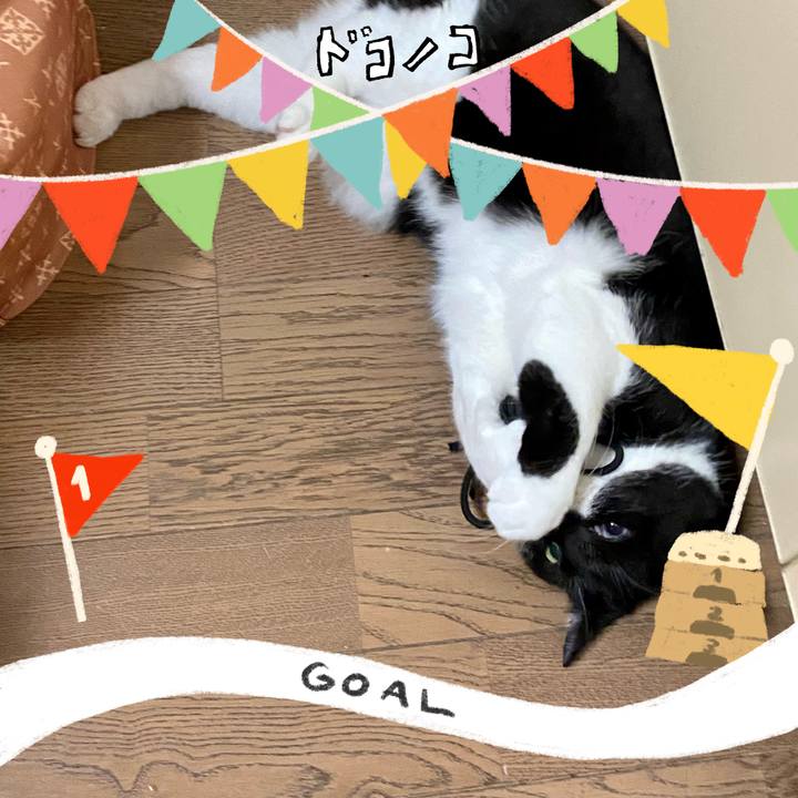 E2b5fcc3 aa36 4b19 8e7e b07fa80ebea1 1730031523569