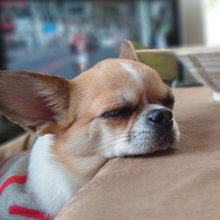 E2b604f3 f75d 4e92 8d56 b20e410ceeb7 1672738299387