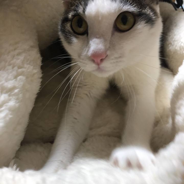 E2b60f0e d8de 4860 980d b54bd110a5a0 1609414225158