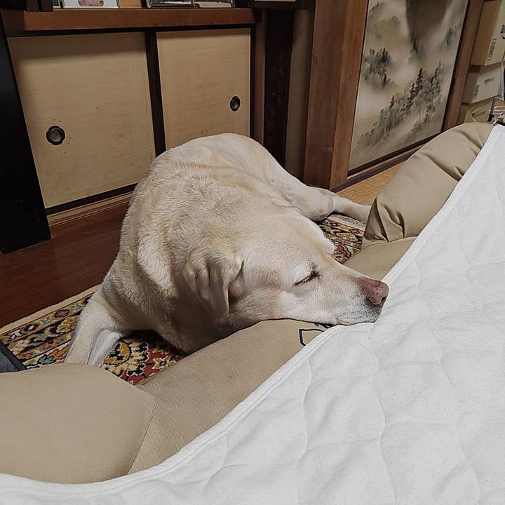 E2b63d71 e4d1 4c26 89fb 22f861e694c9 1769843579716