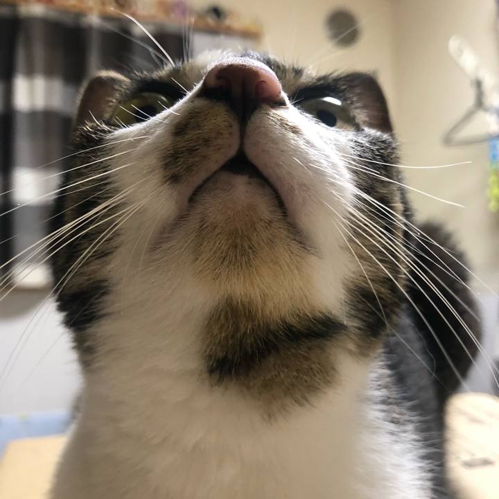 E2b67ccf c14d 47a5 b56a ce1d31d19da7 1598043354706