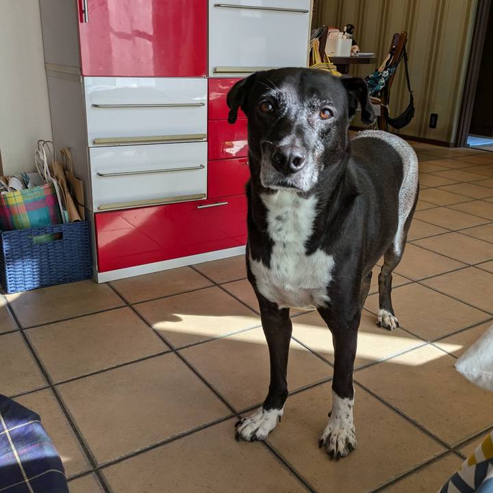 E2b691d6 cab0 44e9 aec1 a8f75a9ac108 1729767466748