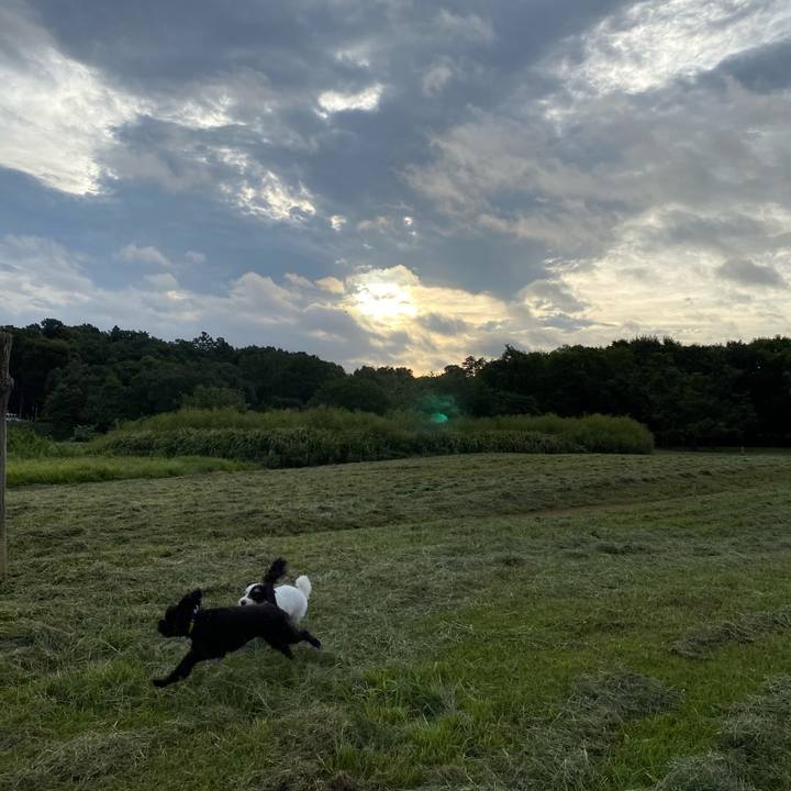 E2b6febb a025 4224 9b3a 862d902d5b46 1600386422435