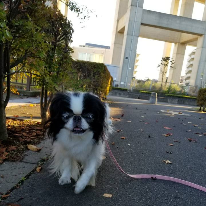 E2b750fc 33d6 44cf 914c c3bea8e471b7 1507372131312