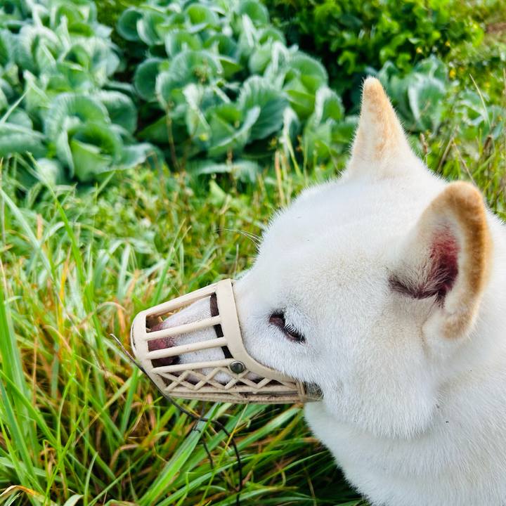 E2b7cca7 c74b 4f14 9e8d 676dbf3883de 1694815161220