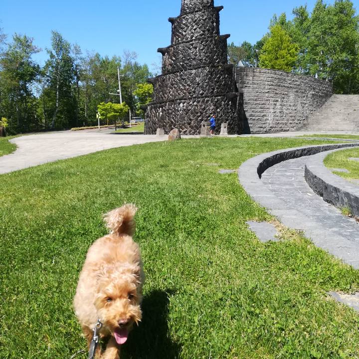 E2b7f0a0 6a8c 416a 995c 1be857069688 1527403241880