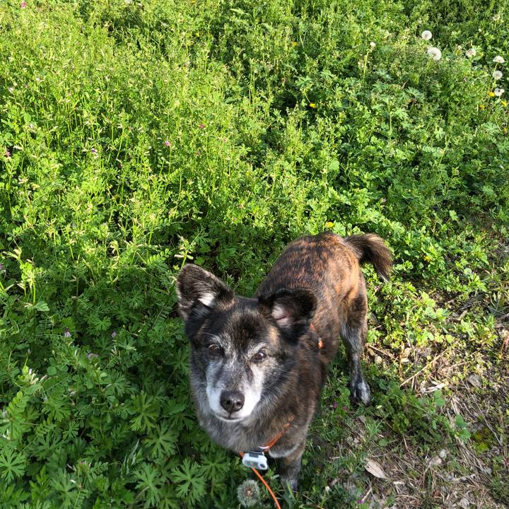 E2b81635 3c6d 41cf 8d14 6a47ff6a5226 1680098160391