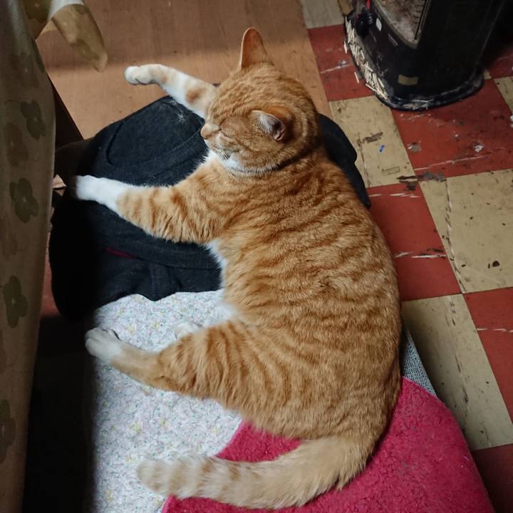 E2b868c0 fd4f 4174 af6e fdbcf29903b2 1578520409931